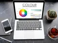 Na ekranie laptopa koło barw i palety kolorów, pomocne przy wyborze między rgb czy cmyk do druku. Obok telefon, notes i kaktus.