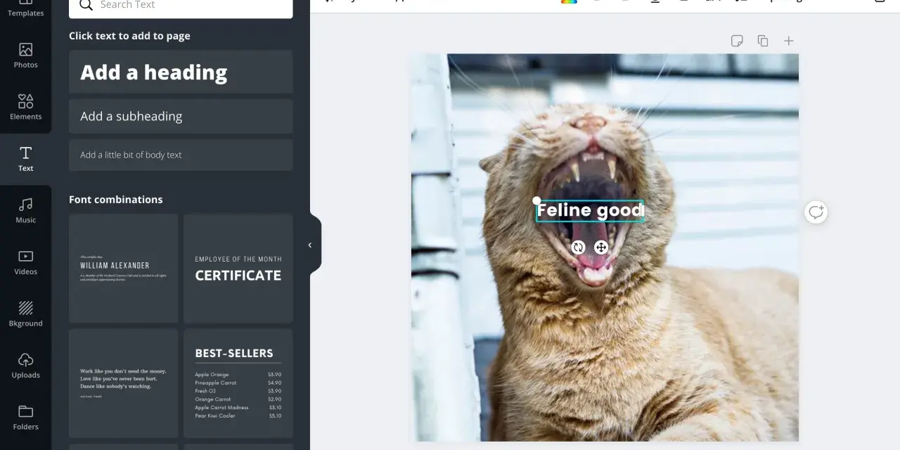 Jak dodać napis do zdjęcia? W edytorze Canva, wybierz tekst, wpisz "Feline good" i umieść go na zdjęciu z kotem.
