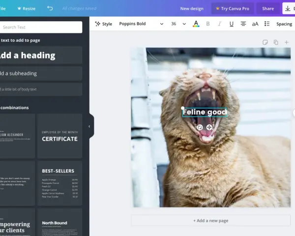 Jak dodać napis do zdjęcia? W edytorze Canva, wybierz tekst, wpisz "Feline good" i umieść go na zdjęciu z kotem.