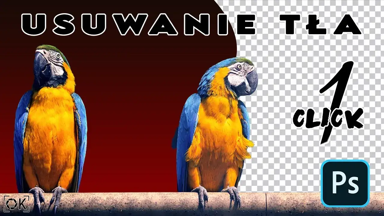 Zdjęcie Jak usunąć tło w Photoshopie – proste metody, które zaskoczą każdego